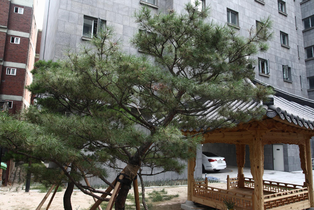 Fortune Hostel Jongno Seúl Exterior foto